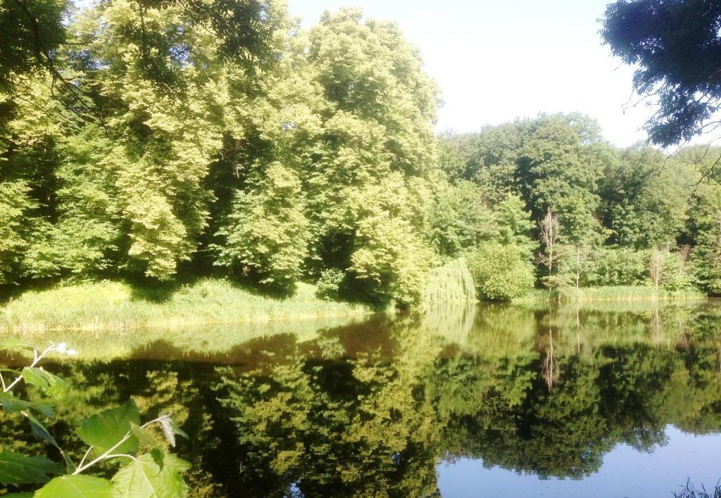 Carmina Am See Karnin  Exterior photo